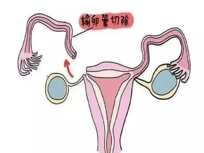 江苏省中医院生殖中心可以做供卵三代试管婴儿