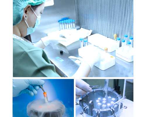 黄石能做三代最大的代生机构医院在哪里？