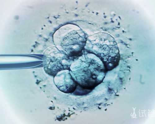 第三代试管需要什么流程_做第三代试管要准备多少钱