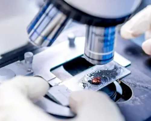 杭州申请供卵需要多久,在浙江试管养囊失败是技术问题还是基因问题！试管婴