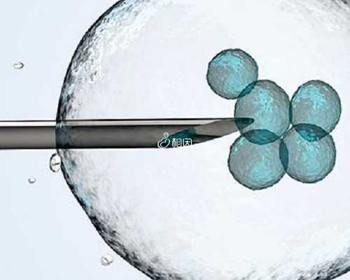 降调针14针属于什么方案_降调节打一针和多针的区别