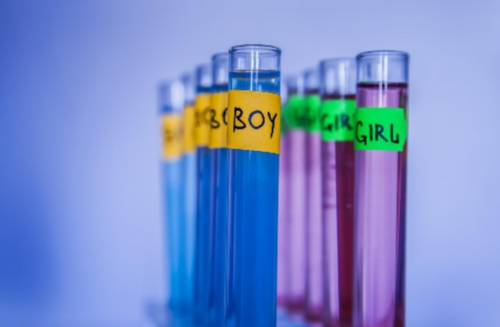 拉萨双角子宫做试管成功率高吗(拉萨试管成功率)