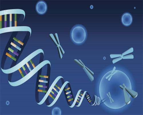 浙江私立医院新排名？内附收费标准！