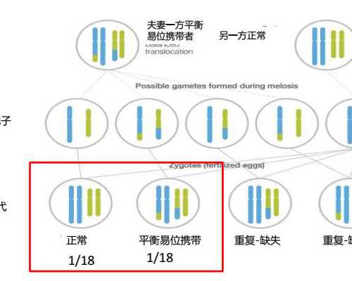 试管生儿子的费用,株洲残角子宫能通过试管生孩子吗？残角子宫对身体有什么