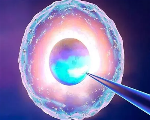 <strong>输卵管粘连能不能自然怀孕？内附输卵管粘连生育指南！</strong>