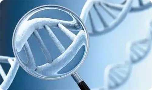 杭州在哪找助孕的,杭州做第三代试管龙凤胎价格是多少?10万费用够吗?