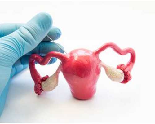 杭州做供卵私立医院,杭州借卵子的费用,艾滋病患者可以在浙江做试管婴儿吗！