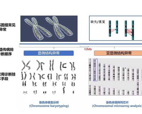 2026浙江省新华医院做一次供精人工授精费用要多少？