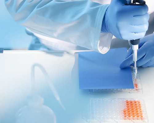 试管移植前检查有囊肿怎么解决?移植囊胚前的检查项目