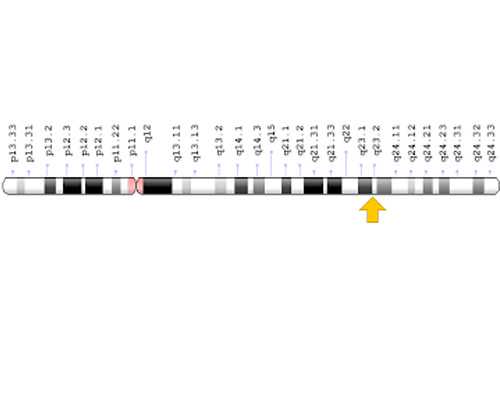 供卵包男孩费用,什么叫排卵障碍？年纪轻轻卵巢早衰怎么办？