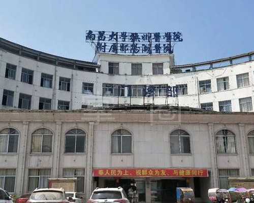 614期:美欲在猪体内培育人类器官?