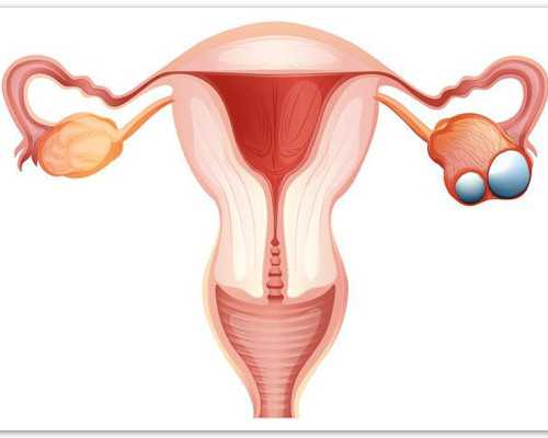 杭州供卵试管不用排队,浙江超厉害的试管婴儿医院推荐！五万块钱够吗？