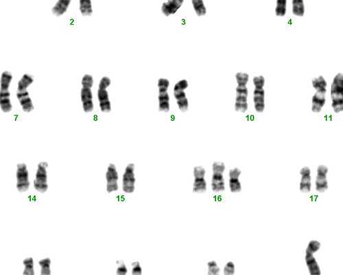 黑龙江比较有名的三代代生包生孩子医院推荐