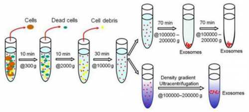 哪有靠谱的代孕公司,高龄卵巢衰退amh只有0.5能不能做试管？