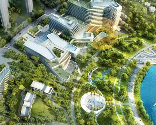 2026中山市人民试管婴儿成功率一览，附2026助孕成功率预估表