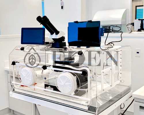 全国正规代生公司包成功医院排行榜来了,来看看2026哪些私立医院上榜