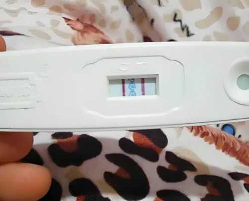 亚历山大生殖试管代生女孩冷冻胚胎移植过程？该如何收费！