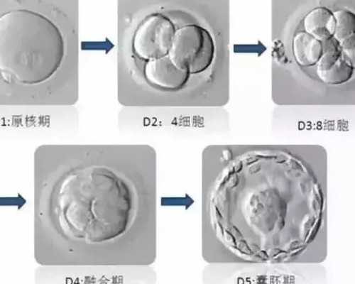 初期见红和月经的区别