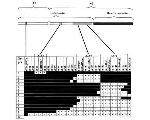 试管婴儿代孕花费,单角子宫是怎么查出来的（子宫畸形的原因）