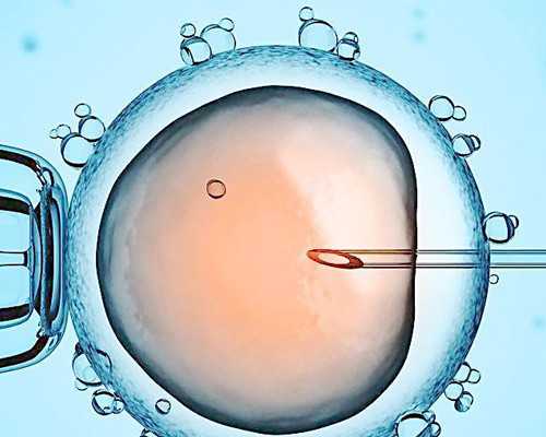 急找杭州代妈-杭州助孕公司供卵,浙江省试管助孕生宝宝费用来了,附试管价格一