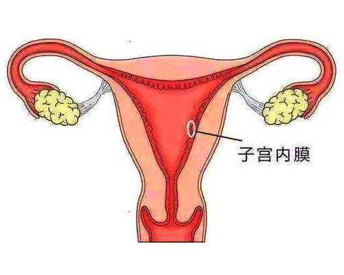 宫外孕后试管移植成功率高(试管宫外孕后再次移植)