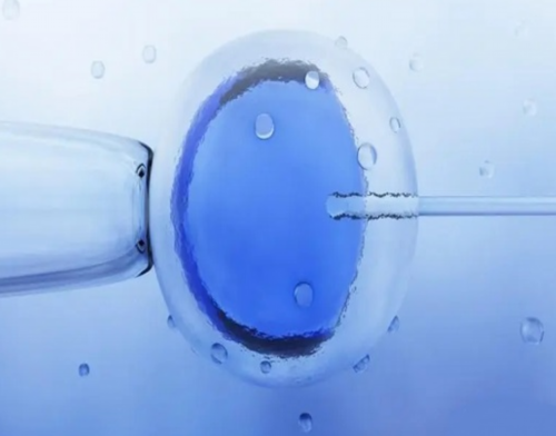 全国第三代代生网供卵价格明细